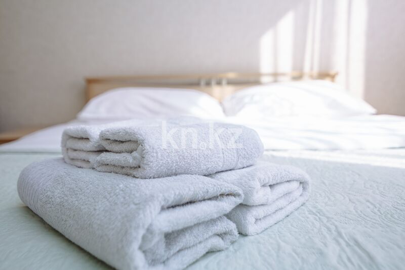 Аренда 1-комнатной квартиры посуточно, 45 м² - Аренда недвижимости в Астане - страница 7 фото 5 из 21