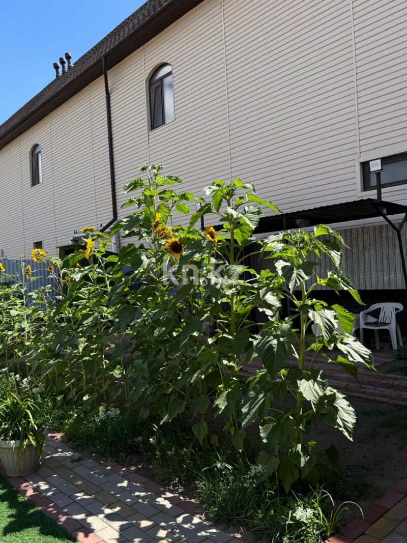 Продажа 7-комнатного дома, 370 м² - Продажа домов, коттеджей в Караганде фото 18 из 32