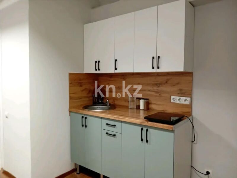 Продажа 1-комнатной квартиры, 19 м² - Продажа однокомнатных квартир в Бостандыкском р-не Алматы - страница 12 фото 3 из 5