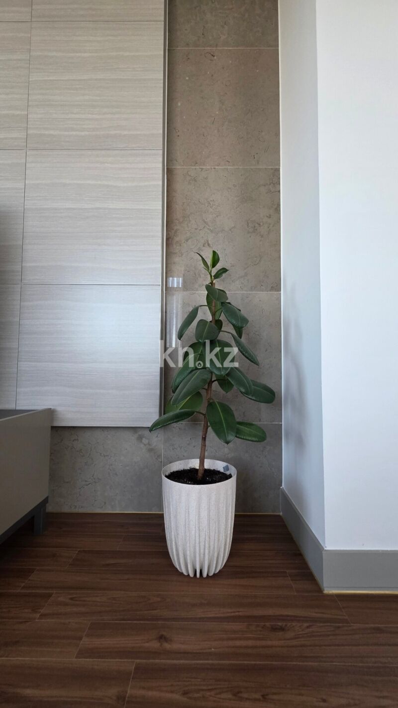 Аренда 3-комнатной квартиры, 110 м² - Продажа дач в Петропавловске фото 5 из 21