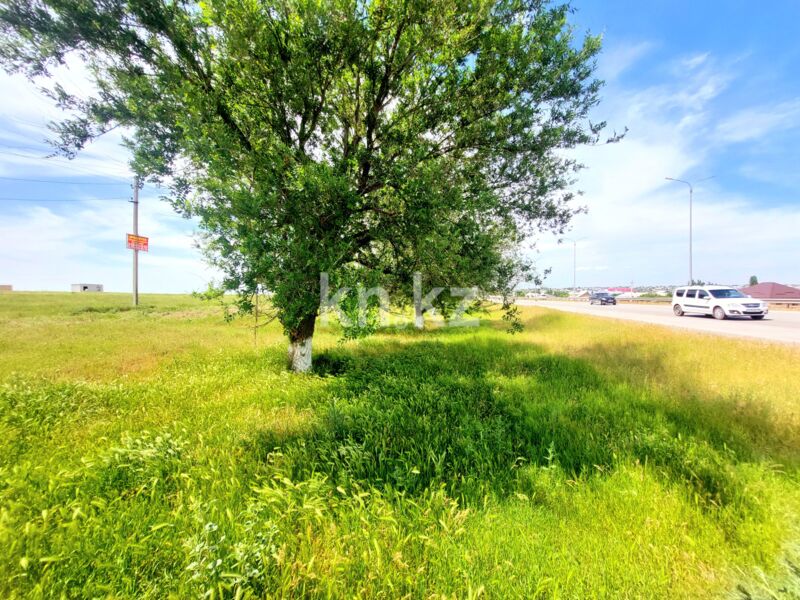 Продажа участка, 3 га - Продажа земельных участков в Казахстане - страница 3 фото 26 из 27