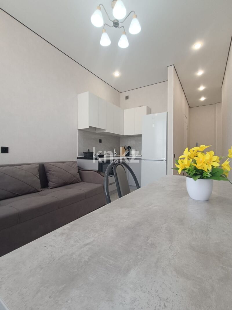 Аренда 1-комнатной квартиры посуточно, 55 м² - Аренда квартир посуточно в Алматы фото 3 из 4