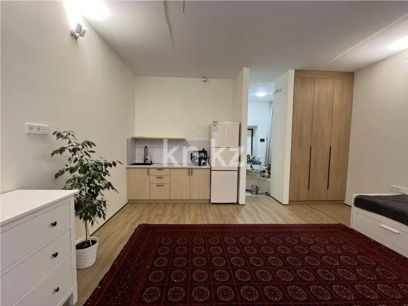 Продажа 1-комнатной квартиры, 33.5 м² - Продажа однокомнатных квартир в блочном доме в Казахстане - страница 56 фото 2 из 4