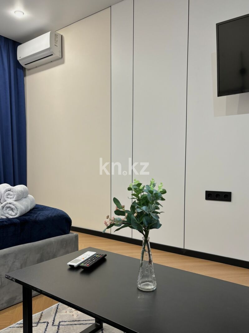 Аренда 1-комнатной квартиры посуточно, 27 м² - Аренда квартир посуточно в Казахстане фото 4 из 17