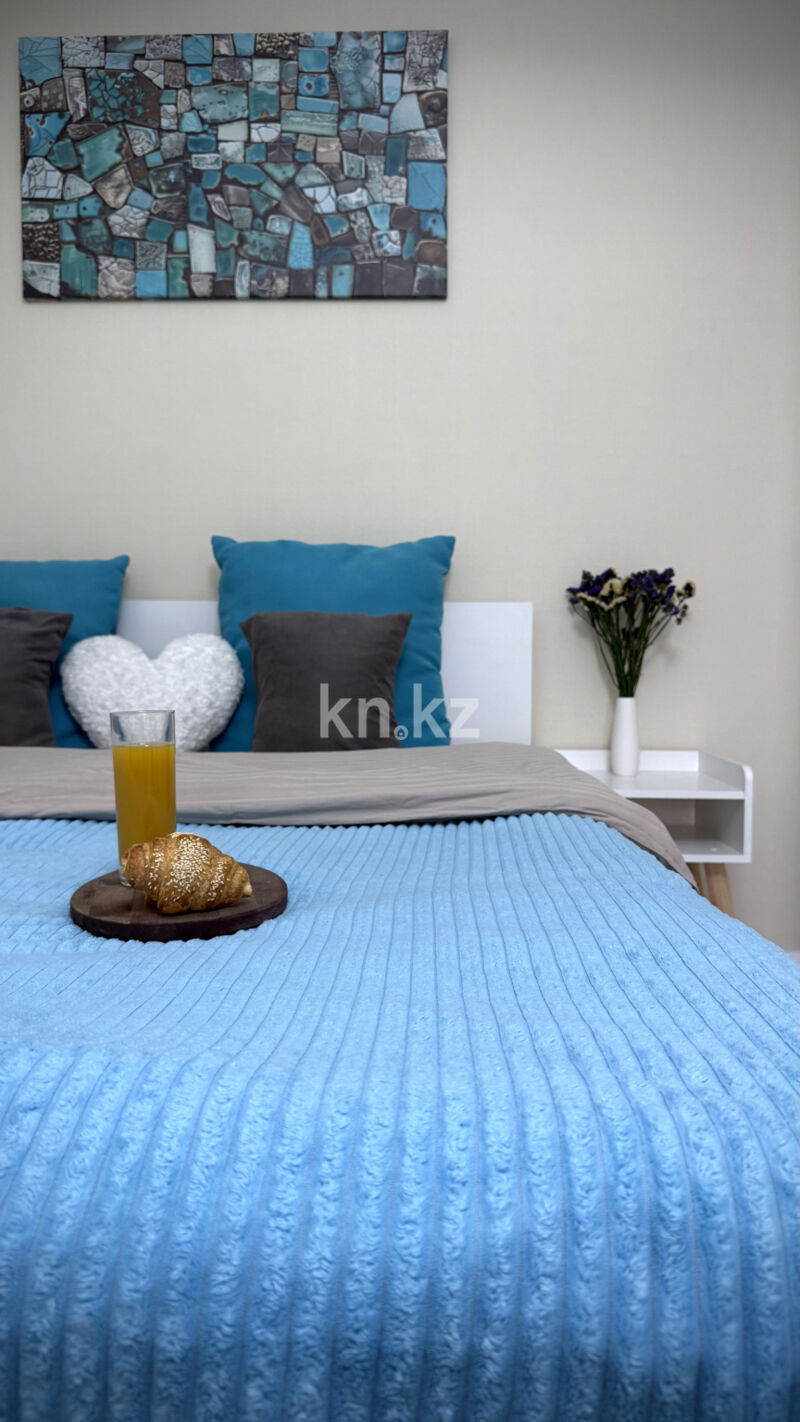 Аренда 2-комнатной квартиры посуточно, 48 м² - Аренда квартир посуточно в Бостандыкском р-не Алматы фото 2 из 21