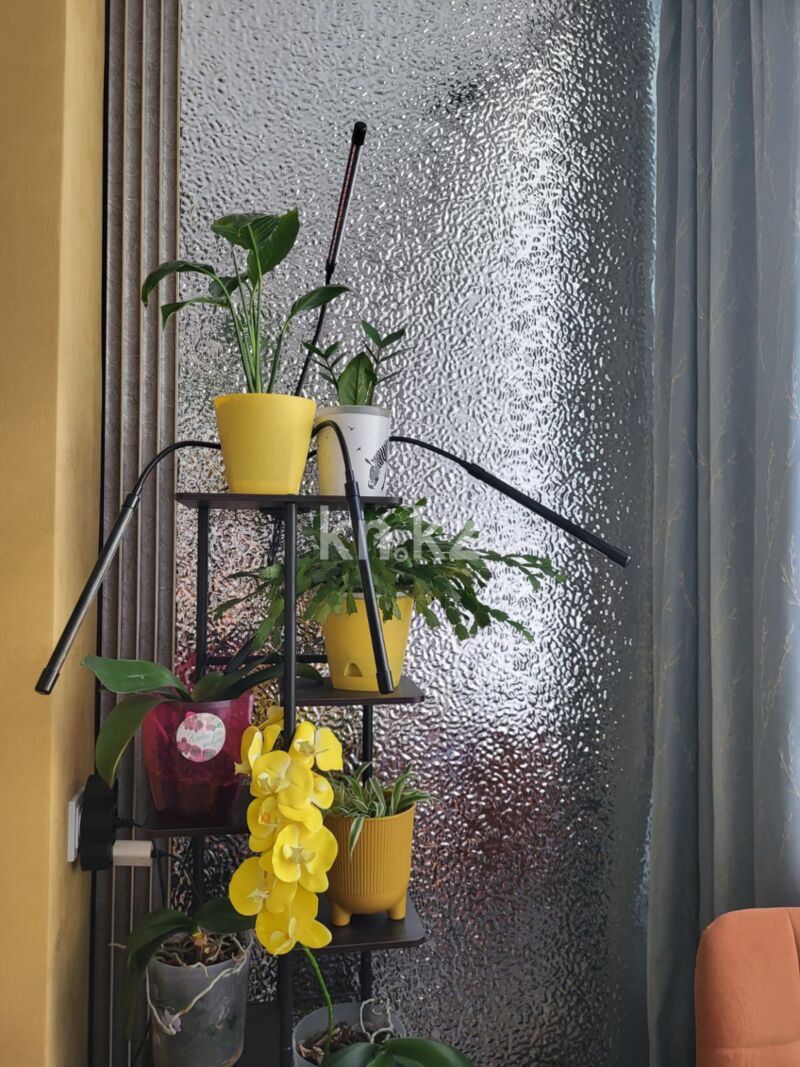 Продажа 2-комнатной квартиры, 50.2 м² - Продажа двухкомнатных квартир в Ауэзовском р-не Алматы - страница 31 фото 13 из 24