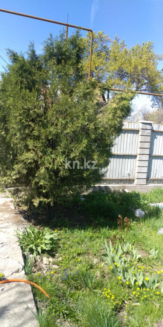 Продажа дачи, 8.3 сот., Кендала - Продажа квартир в Алматинской области фото 8 из 21