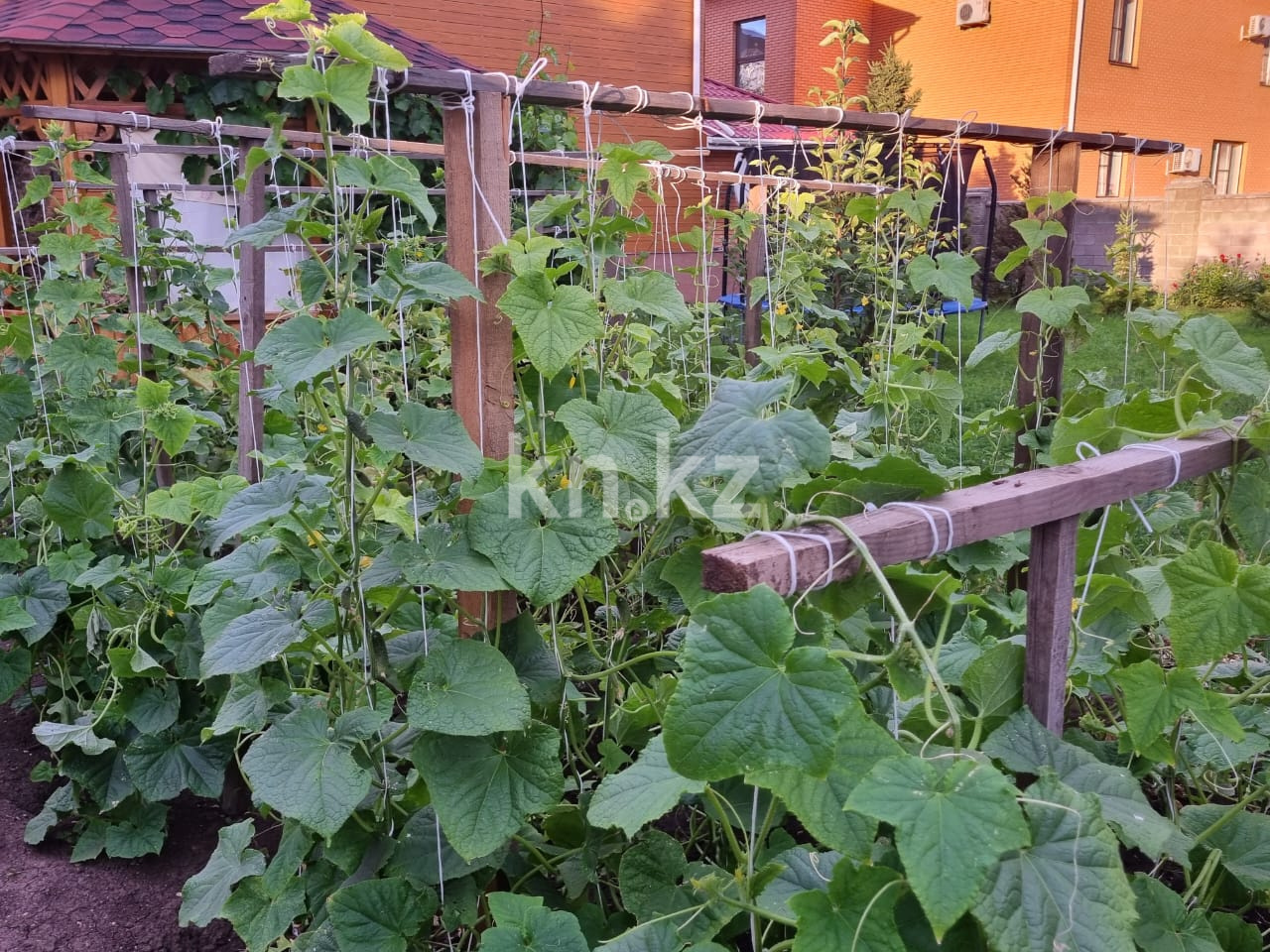 Продажа 7-комнатного дома, 450 м², Комсомольский - Продажа домов, коттеджей в Казахстане фото 7 из 11