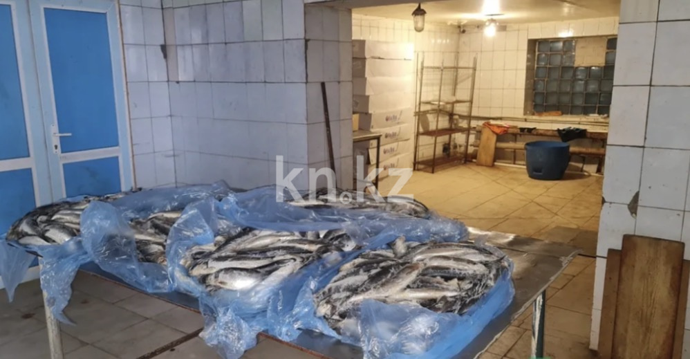 Продажа бизнеса, 2000 м² - Недвижимость в Семее фото 3 из 6