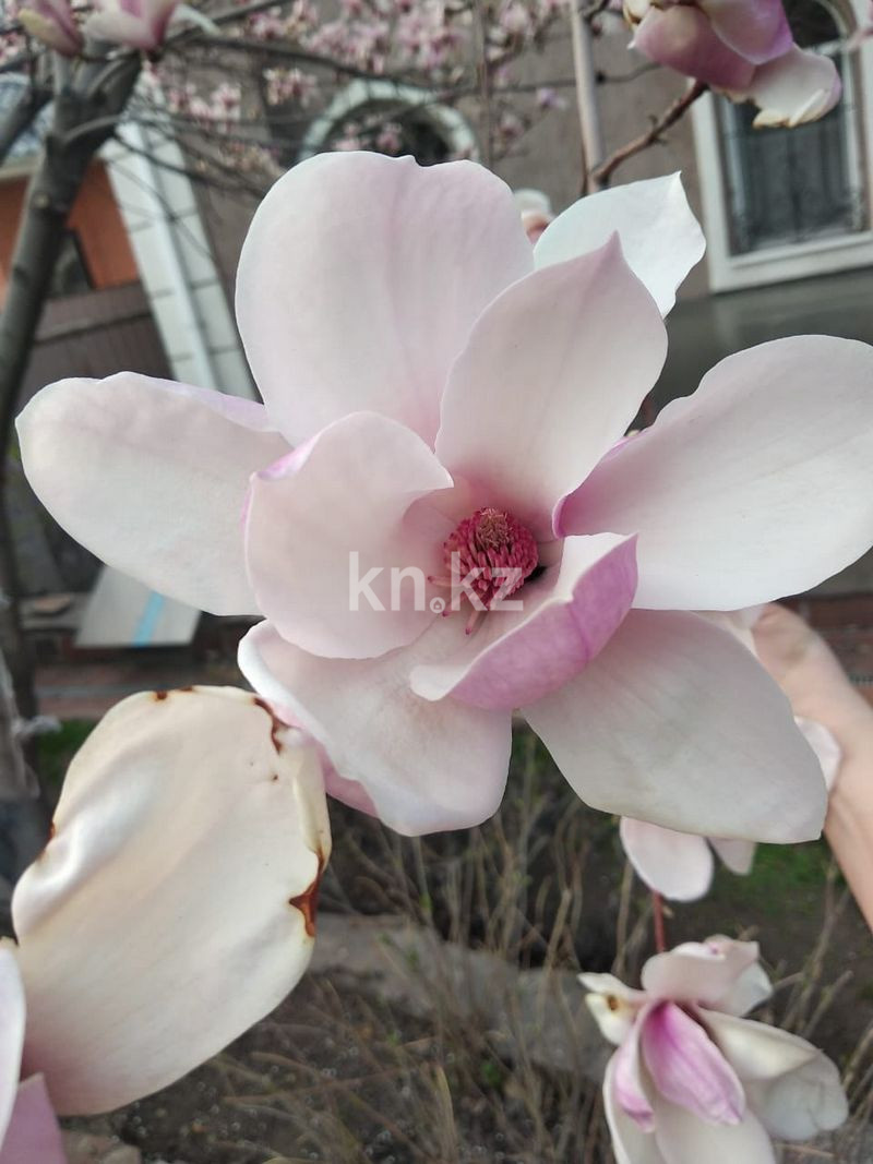 Продажа 7-комнатного дома, 458 м², Мамыр-4 мкр-н - Продажа домов, коттеджей в Алматы фото 29 из 40