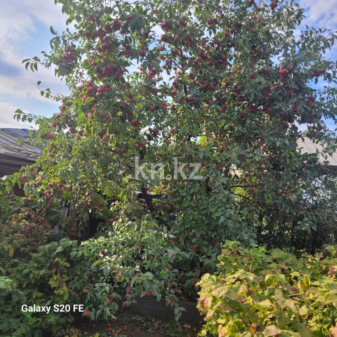 Продажа 4-комнатного дома, 68.5 м², Огородная, дом  5 - Продажа домов, коттеджей в Сарани фото 5 из 10