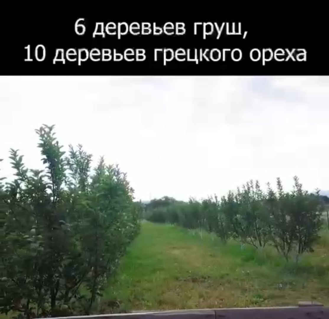 Продажа земельного участка, 1 га, Тазабекова - Продажа земельных участков в Алматинской области фото 3 из 10