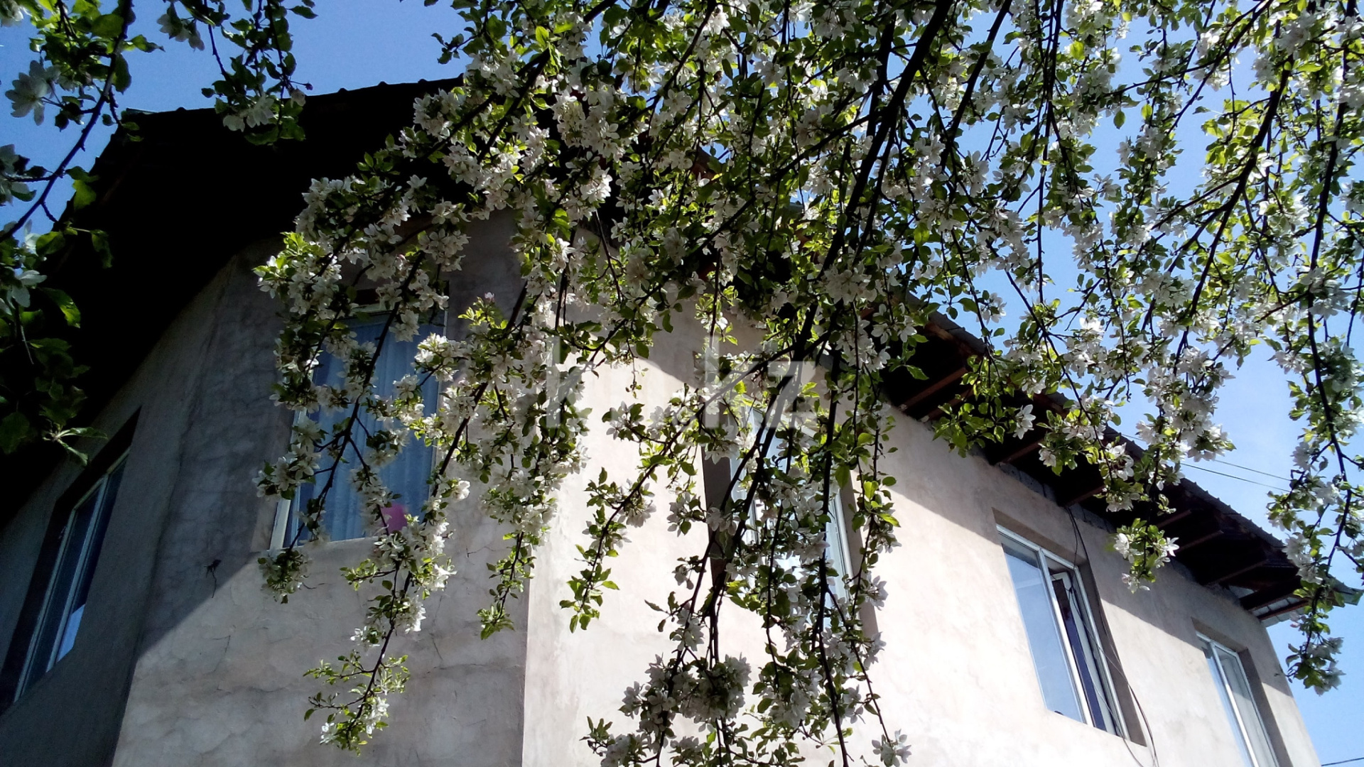 Продажа 9-комнатного дома, 325 м², ул. Цветочная, дом  46 - ул. Беремжанова в Алматы - фото 3