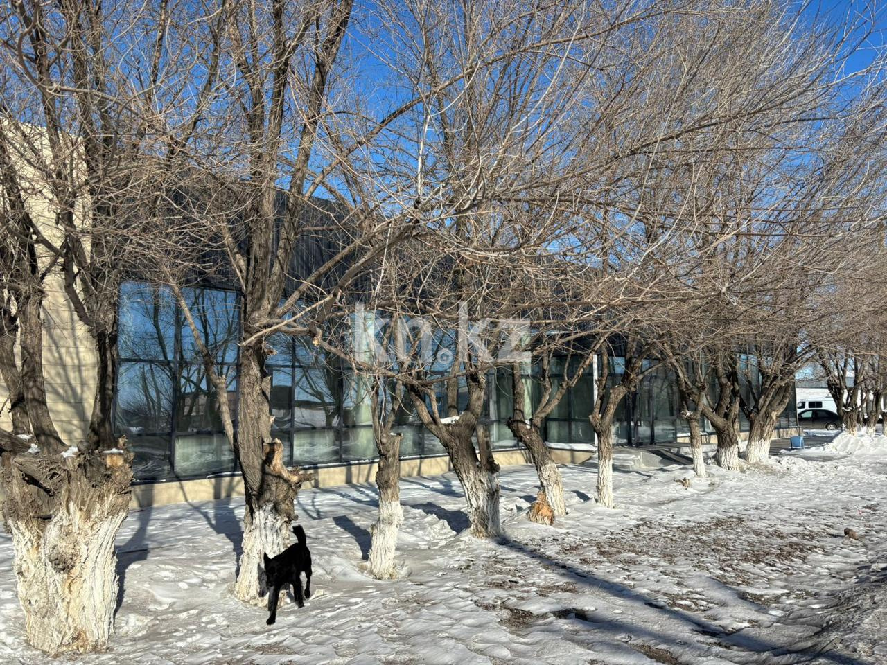 Аренда здания, 620 м² - Аренда зданий в Казахстане фото 2 из 15