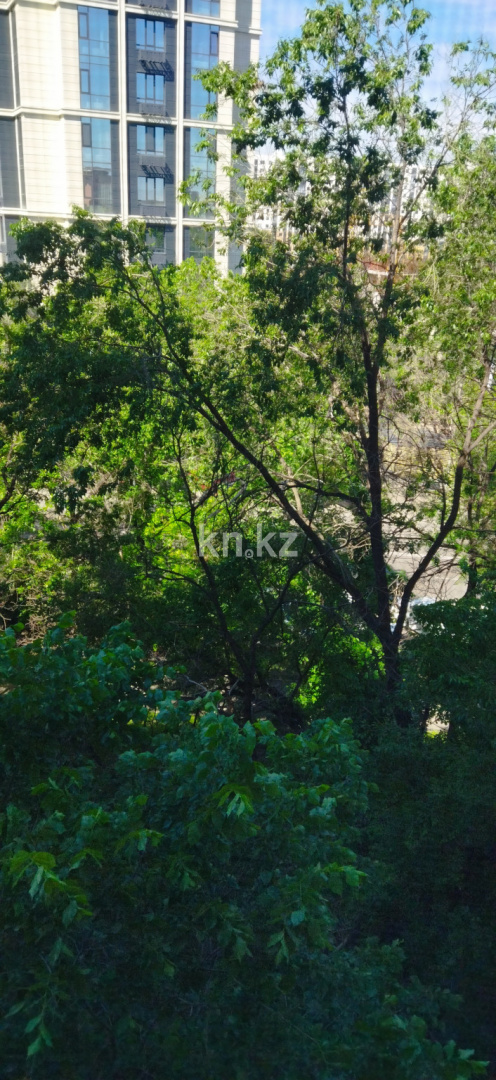 Продажа 2-комнатной квартиры, 31 м², ул. Ауэзова, дом  16 - ул. Толе би в Алматы - фото 17 Продажа 2-комнатной квартиры, 31 м², ул. Ауэзова, дом  16 - ул. Толе би в Алматы - фото 17