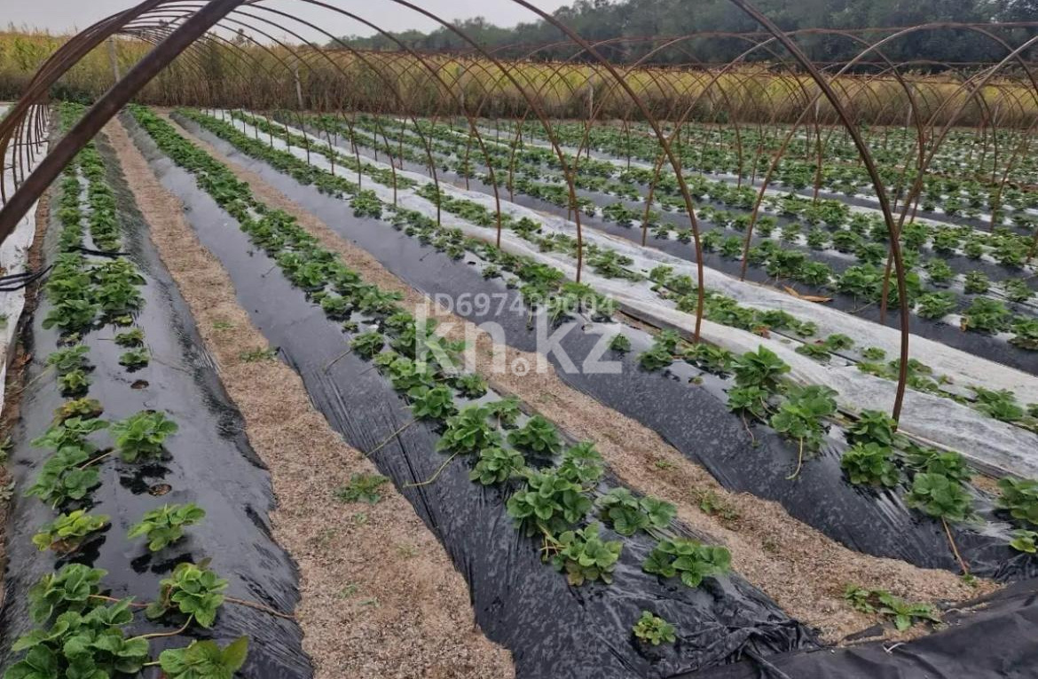 Продажа бизнеса, 23500 м² - Продажа действующего бизнеса в Алматы фото 4 из 7