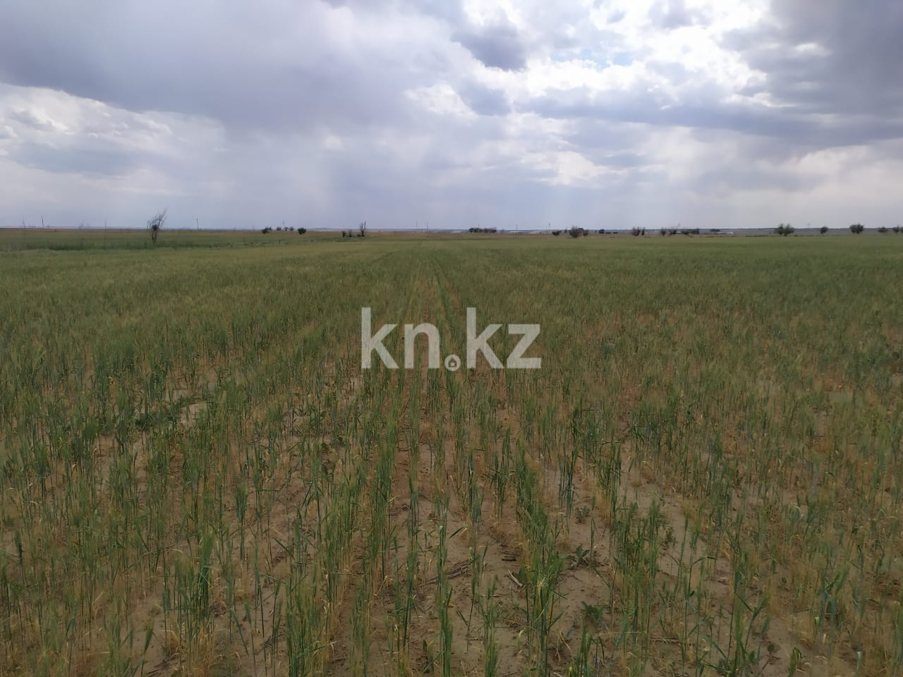 Продажа земельного участка, 4315 га, Участок 4315 - Продажа земельных участков в Алматинской области фото 2 из 4