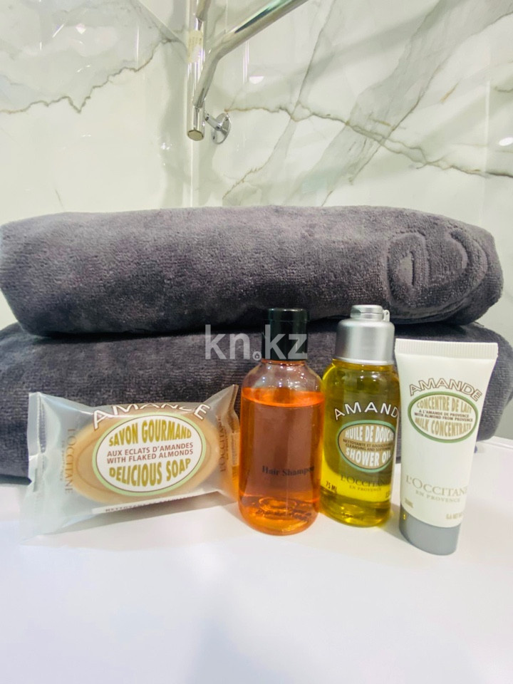 Аренда 1-комнатной квартиры посуточно, 33 м², ул. Айтиева, дом  154/1 - ул. Жамбыла - Аренда  однокомнатных квартир посуточно в Алматы фото 11 из 12