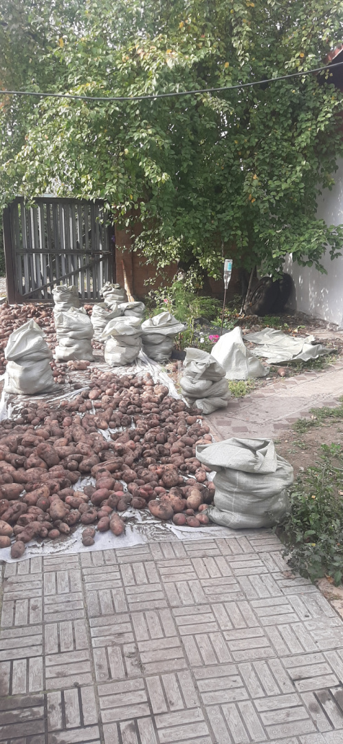 Продажа дачи, 12 сот., Союз 52 - Продажа и аренда недвижимости в Усть-Каменогорске фото 9 из 15