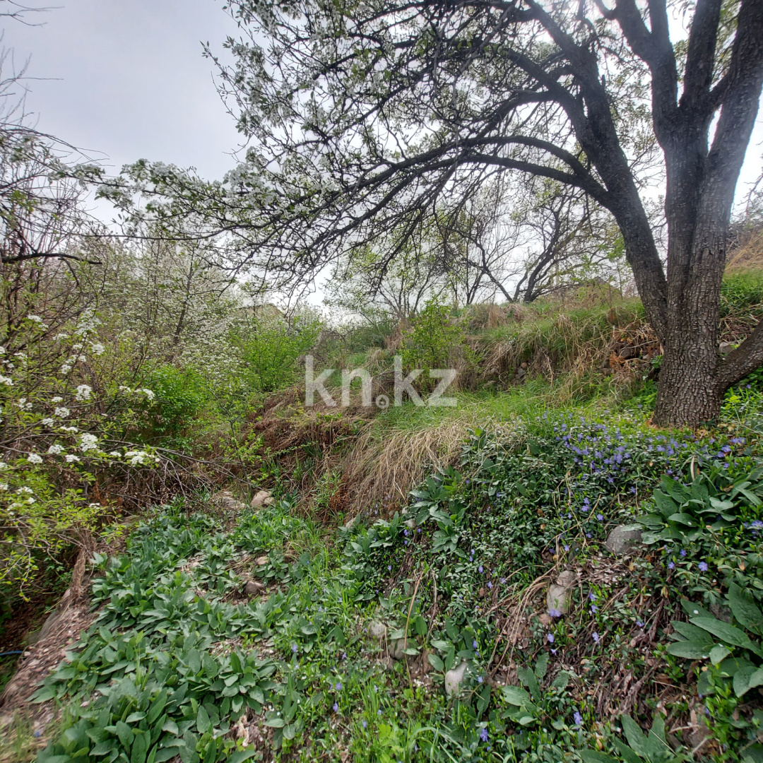 Продажа дачи, 10 сот., СТ Пищевик - Продажа дач в Алматы с фото фото 26 из 31