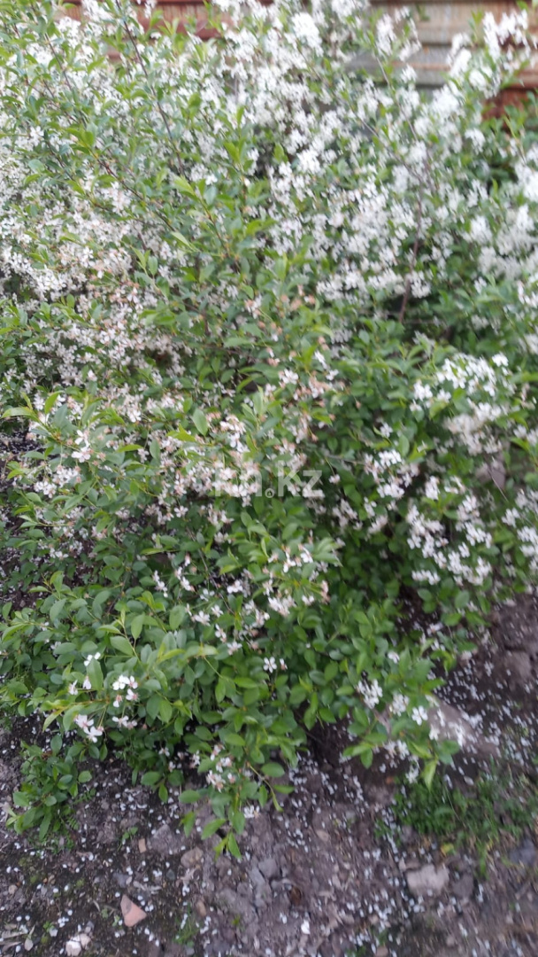 Продажа 4-комнатного дома, 56 м², ул. Жилстроевская, дом  47/2 - Продажа домов и коттеджей в Караганде без посредников фото 11 из 14