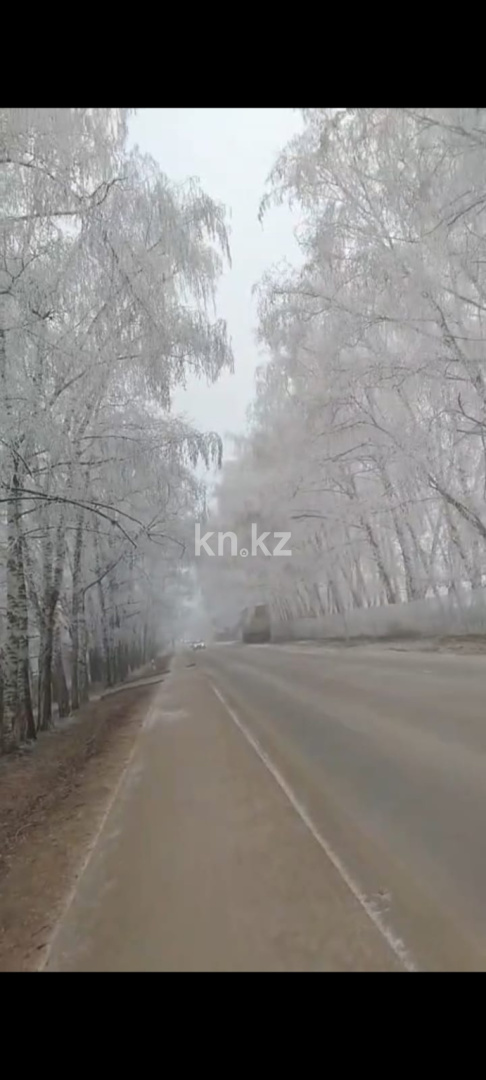 Продажа 3-комнатного дома, 77.8 м² - Недвижимость в Алматинской области фото 16 из 17