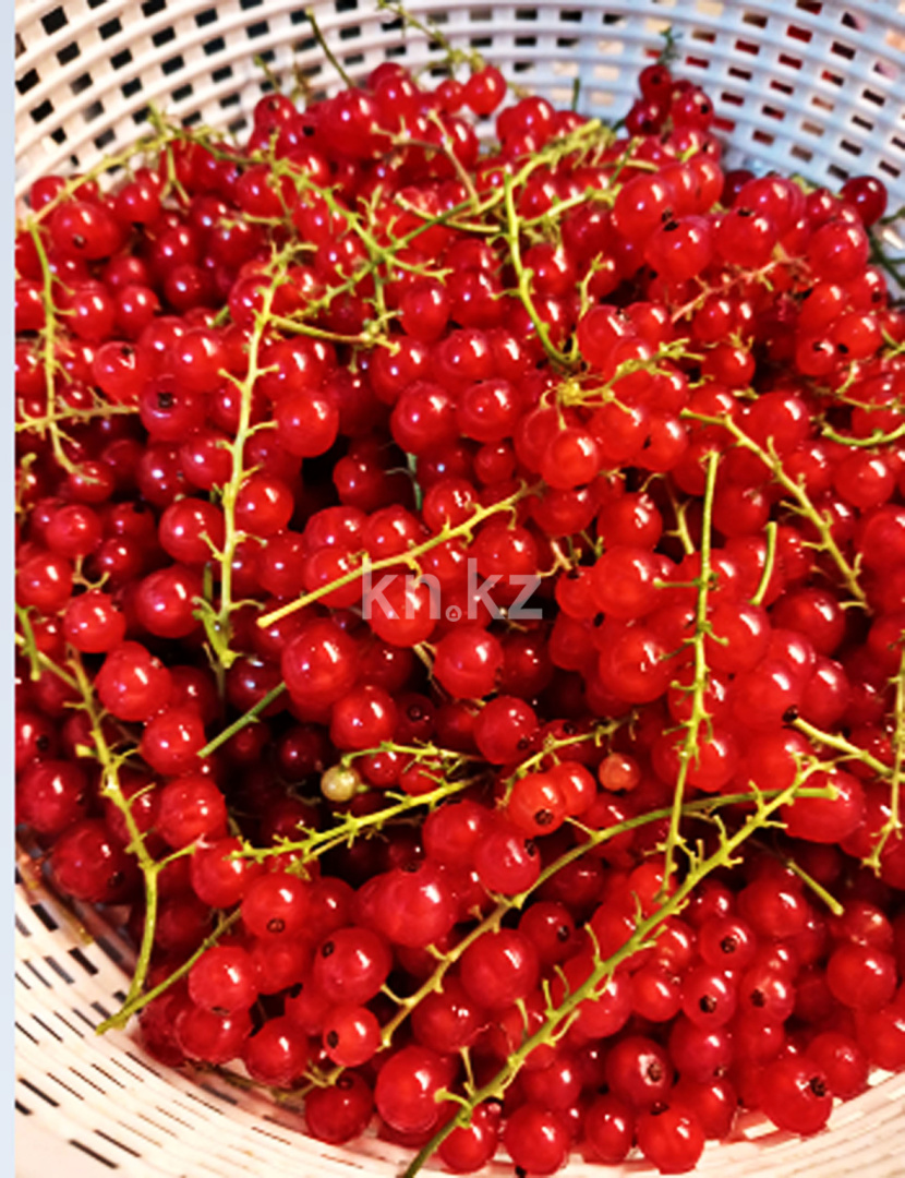 Продажа 4-комнатного дома, 90 м², ул. Урицкого - Продажа домов, коттеджей в Алматы с фото фото 28 из 31