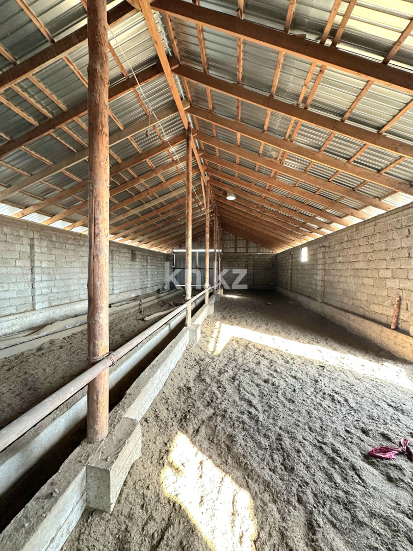 Продажа , 1200 м², ЖМ Алтынтобе, дом  1 - Продажа квартир в Шымкенте фото 19 из 30