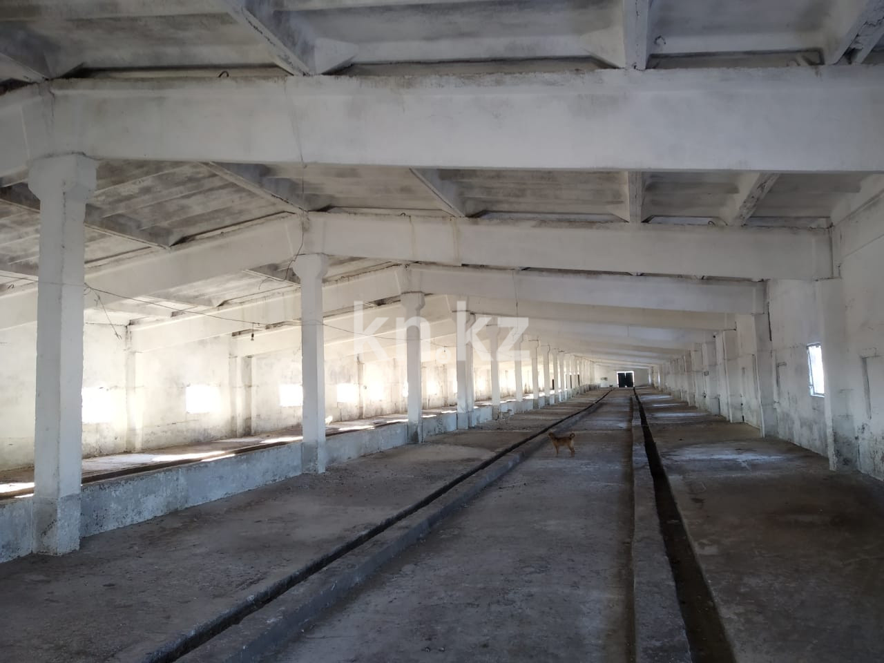 Продажа , 12000 м², ул. Абая - Продажа квартир в Шымкенте фото 3 из 6