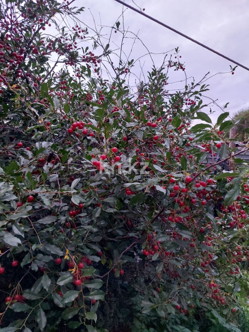 Продажа 4-комнатного дома, 56 м², ул. Жилстроевская, дом  47/2 - Продажа домов и коттеджей в Караганде без посредников фото 14 из 14