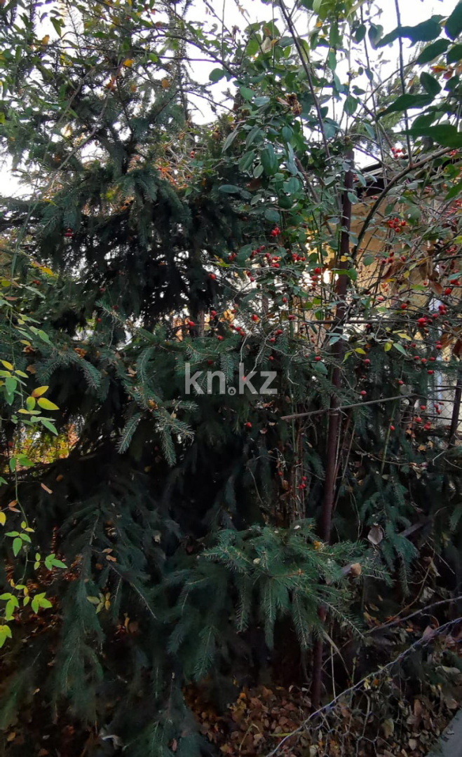 Продажа 5-комнатного дома, 178 м², Боралдай п. - Продажа домов, коттеджей в Алматинской области фото 6 из 30