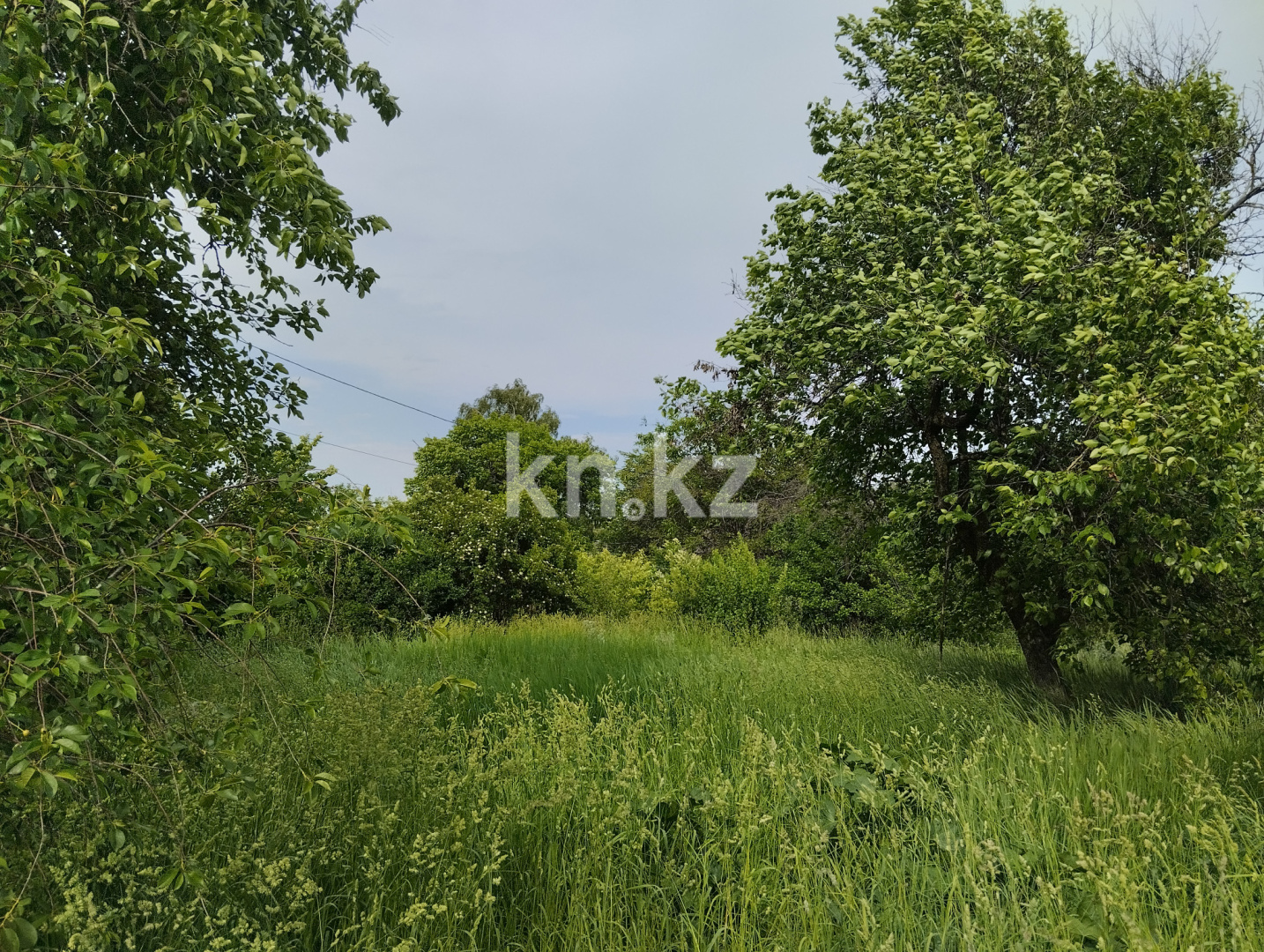 Продажа дачи, 11 сот., Юбилейный с. о. - Продажа квартир в Алматинской области фото 25 из 26