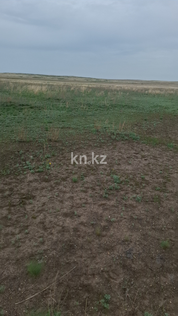 Продажа земельного участка, 18 га, Кокпекты - Продажа земельных участков в Карагандинской области фото 4 из 5