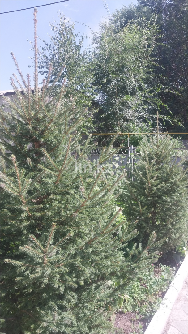 Продажа 5-комнатного дома, 250 м², ул. Восточная, дом  1 - Продажа домов, коттеджей в Темиртау фото 2 из 3