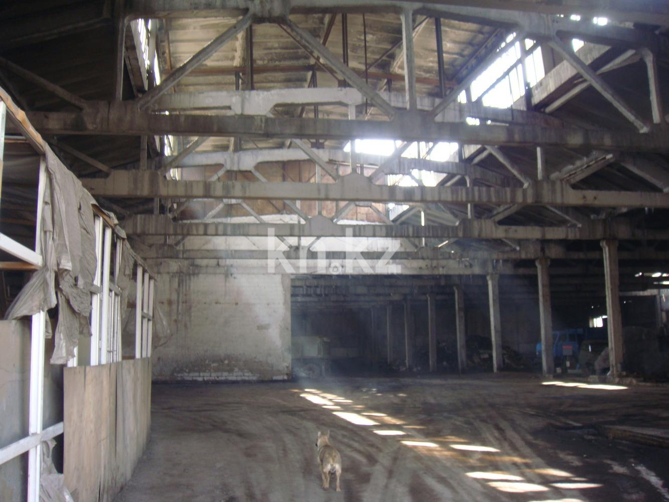 Продажа , 20000 м², ул. Сарыарка, дом  18 - Продажа офисных и торговых помещений в Темиртау фото 4 из 4