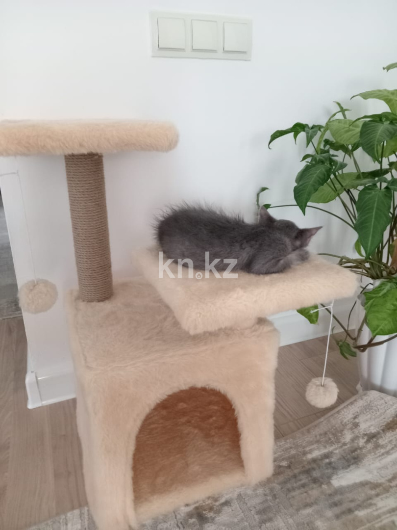 Продажа 1-комнатной квартиры, 39 м², мкр-н 35-й, дом  8 - Продажа квартир в Актау фото 2 из 6