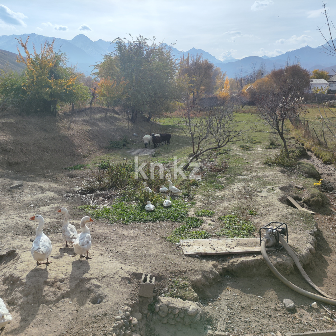 Продажа 5-комнатного дома, 53.6 м² - Недвижимость в Алматинской области фото 11 из 14