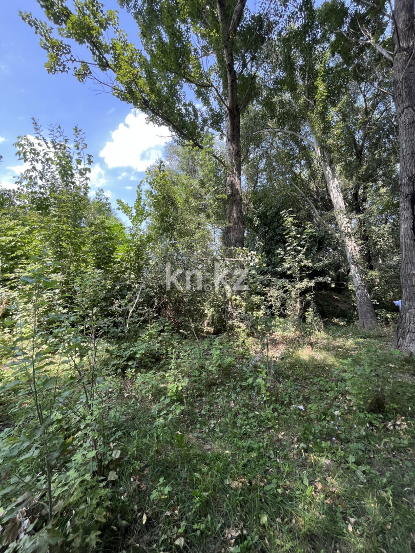 Продажа земельного участка, 22 сот., Маметова - Продажа земельных участков в Алматинской области фото 10 из 11