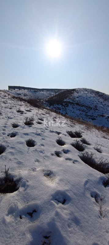 Продажа участка, 8 га - Продажа земельных участков в Алматинской области фото 21 из 30