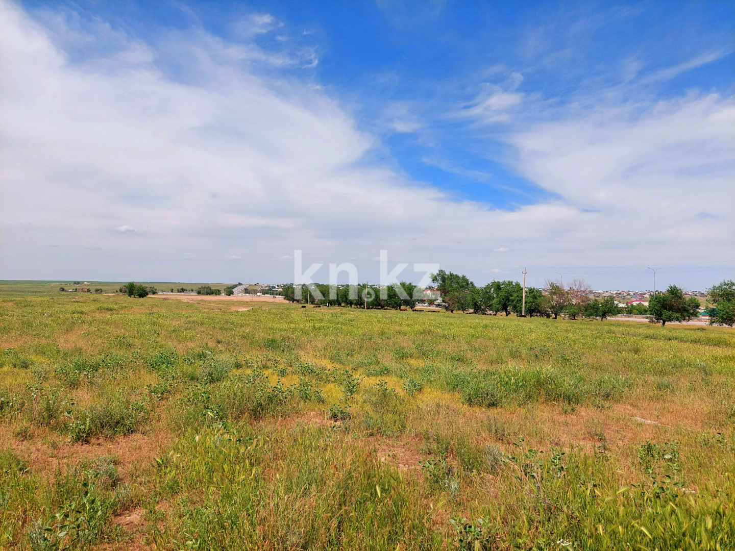 Продажа земельного участка, 3 га, Шубарсу - Продажа квартир в Шымкенте фото 3 из 27