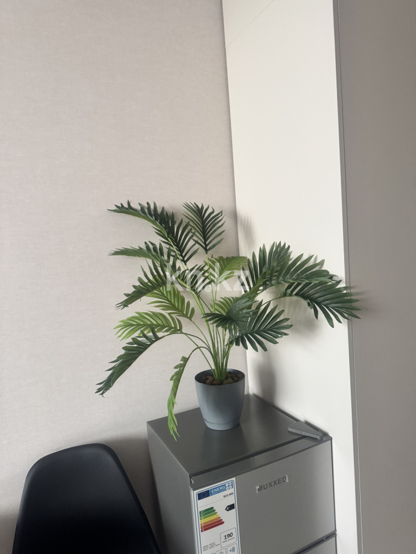 Аренда 1-комнатной квартиры посуточно, 23 м² - Аренда недвижимости в Астане фото 2 из 6