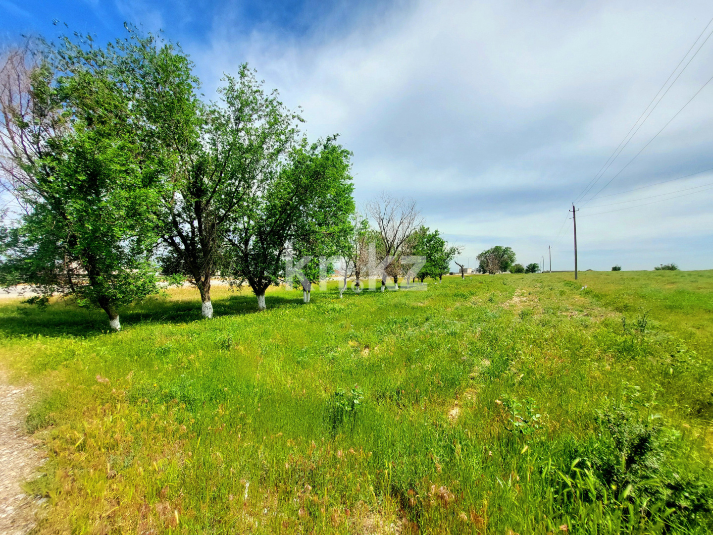 Продажа земельного участка, 3 га, Шубарсу - Продажа квартир в Шымкенте фото 13 из 27