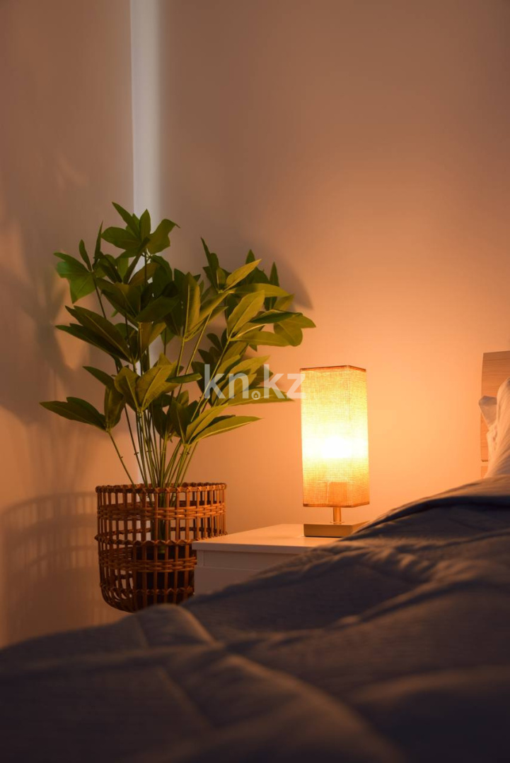 Аренда 2-комнатной квартиры посуточно, 55 м², Розабакиева, дом  162 - ул. Сатпаева - Аренда  двухкомнатных квартир посуточно в Алматы фото 4 из 9