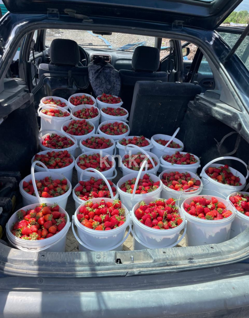 Продажа бизнеса, 23500 м² - Продажа действующего бизнеса в Алматы фото 3 из 7