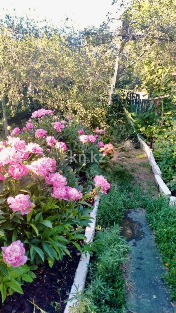 Продажа дачи, 12 сот., Елочка - Продажа дач в Караганде с фото фото 32 из 39