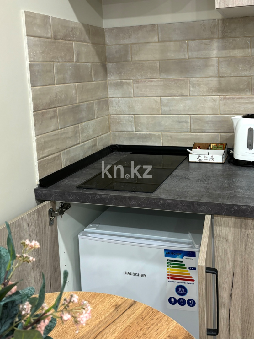 Аренда 1-комнатной квартиры посуточно, 27 м² - Аренда квартир посуточно в Казахстане фото 7 из 20