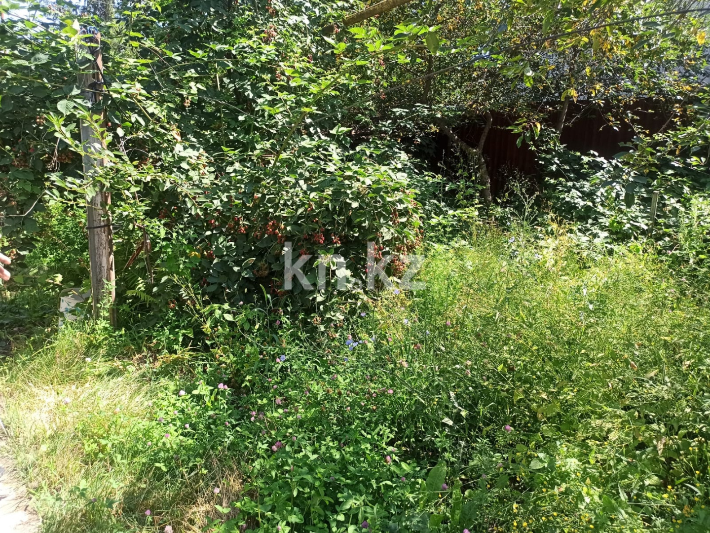 Продажа участка, 10 сот. в Алматинской области