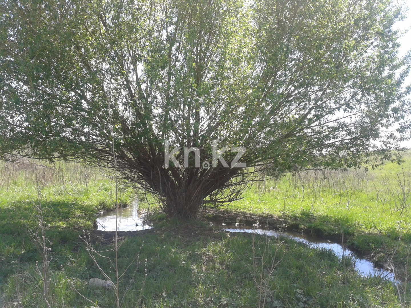 Продажа земельного участка, 10 га, Карой п. - Продажа земельных участков в Алматы фото 5 из 7