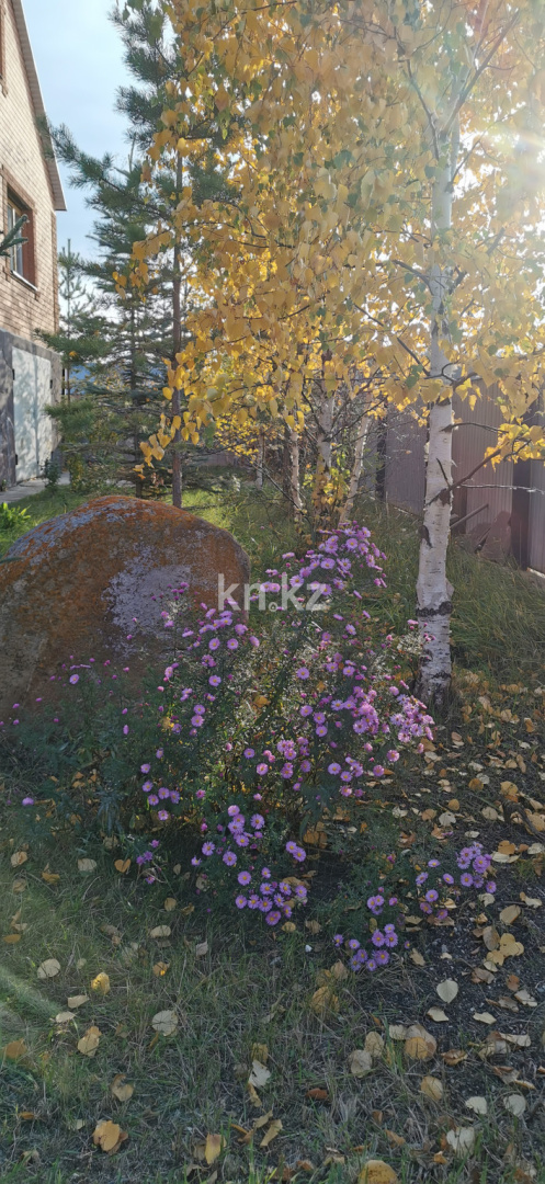 Продажа 5-комнатного дома, 510 м² - Продажа домов, коттеджей в Акмолинской области фото 20 из 33