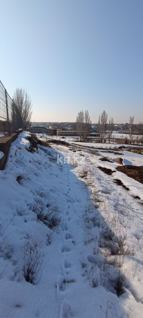 Продажа участка, 8 га - Продажа земельных участков в Алматинской области фото 10 из 30